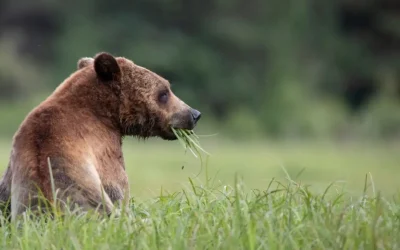 Screenshot 2025-02-14 at 9.21.39 AM Screenshot 2025-02-14 at 9.21.39 AM